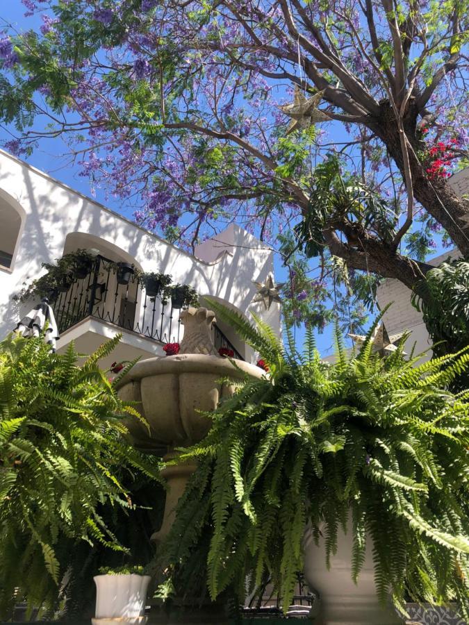 Casa Lani Luxury B&B San Miguel de Allende Esterno foto