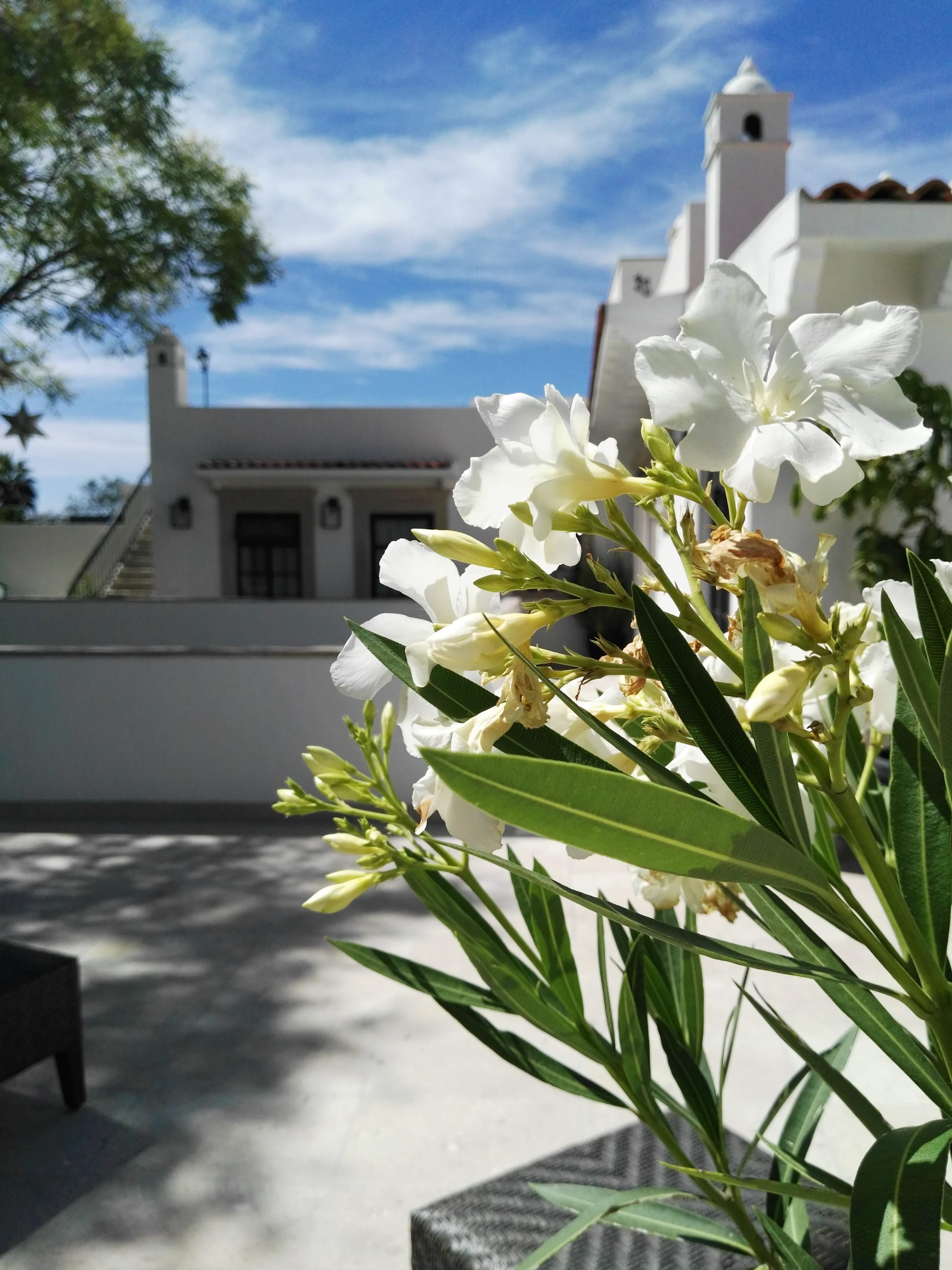 Casa Lani Luxury B&B San Miguel de Allende Esterno foto