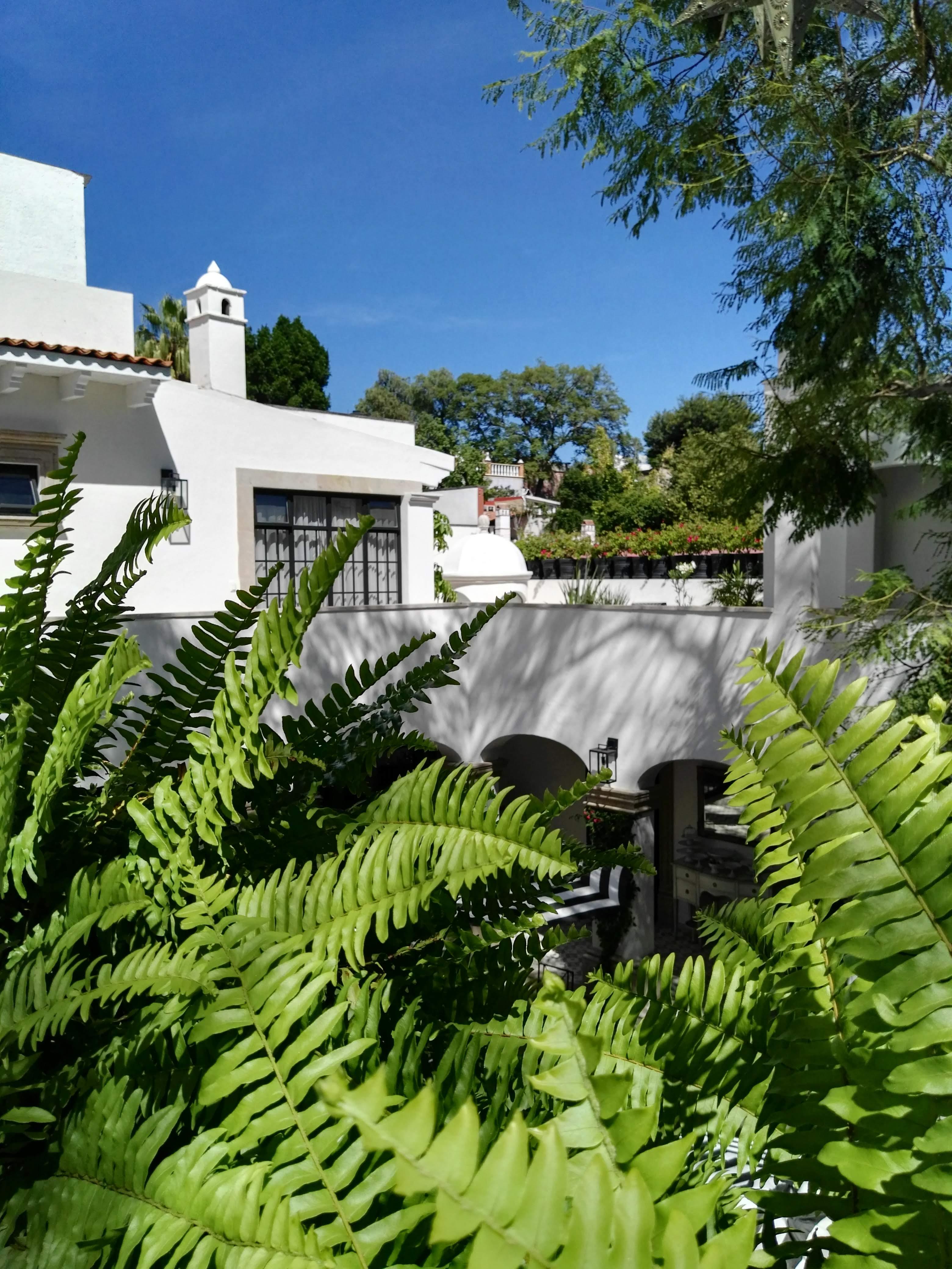 Casa Lani Luxury B&B San Miguel de Allende Esterno foto