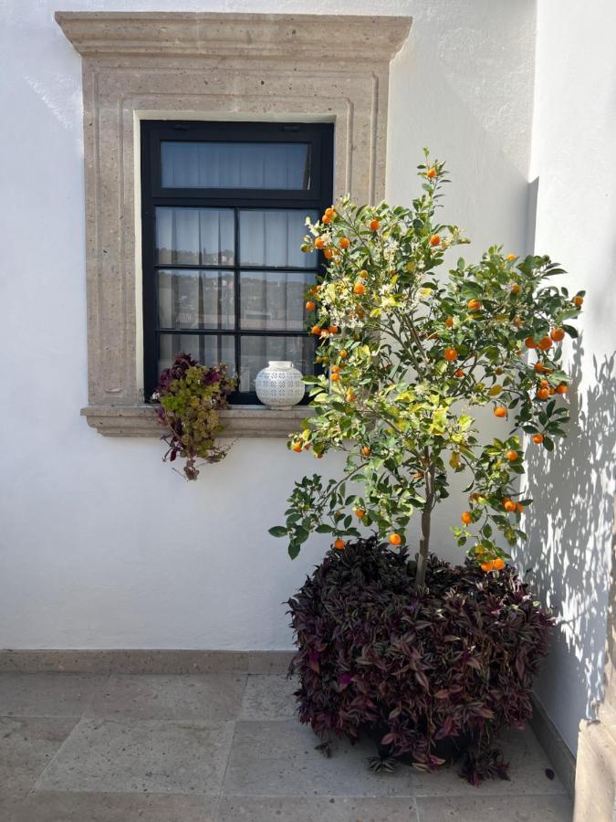 Casa Lani Luxury B&B San Miguel de Allende Esterno foto